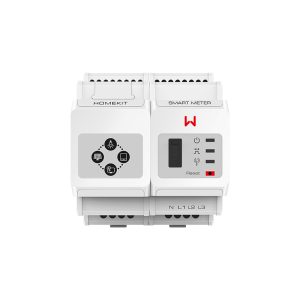 GoodWe HK3000